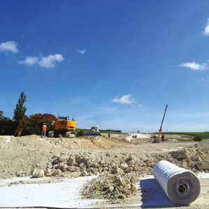Mantieni il drenaggio a lungo termine con il robusto geocomposito in HDPE per il drenaggio di pavimentazioni stradali in Vietnam - Product Image 1
