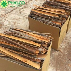Cassia de Vietnam, Hojas Secas de Alta Calidad, Cosecha Nueva, en Barra Larga, Tipo AD, en Polvo, Certificado BRC, Marca Phalco - Product Image 1