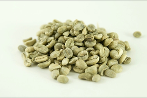 เมล็ดกาแฟอาราบิก้าออร์แกนิกเวียดนามส่งออกโดยตรง ขนาด 18 ได้รับการรับรองจาก USDA  0.1% เมล็ดดำแตกเกรด AA+ คุณภาพสูงสุด - Product Image 4