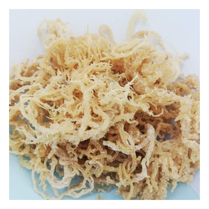 Raw <b>Dried</b> Sea <b>Moss</b> Natural Gracilaria Raw <b>Dried</b> Sea <b>Moss</b> for Gel Drink Food Bulk Wholesale OEM Export High Quality Vietnam - Product Image 1