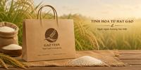 Borsa Boutique Ecologica in Carta Kraft con Logo Personalizzato, Scatole Rigide a Forma di Libro, Produttore OEM Vietnamita