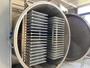 เครื่องอบแห้งแบบแช่เยือกแข็งสุญญากาศอัตโนมัติควบคุมด้วย PLC รุ่น WHFD-100 สำหรับการแปรรูปอาหารเชิงพาณิชย์ ทำจากสแตนเลสสตีล พร้อมมอเตอร์ - Product Image 4