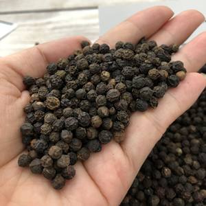 TOP PROVEEDOR DE PIMIENTA DE VIETNAM PIMIENTA NEGRA BLANCA SCHWARZER PFEFFER PIMIENTA DE ALTA CALIDAD A GRANEL BUEN PRECIO LINDA WS + 84393250278 - Product Image 6
