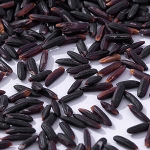 Arroz Glutinoso Negro Seco - Arroz Duro de Alta Nutrición de Vietnam - Product Image 1