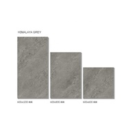 Carreaux de porcelaine modernes antidérapants 600x600x20mm pour allée, jardin et parking, bicolores