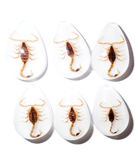 Cabochon Golden Scorpion Pear Shape cut <b>top</b> 25x17 mm White Flat Bottom for Crafts and Jewelry Making - Product Image 1
