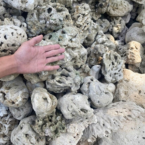 Piedra de Roca Marina de Alta Calidad de Vietnam para Acuarios, Decoración Ecológica para Peceras, Piedra Decorativa Natural para Acuarios - Product Image 1