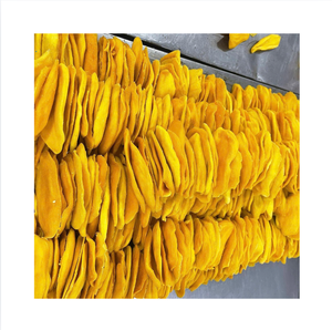 Tranches de mangue séchées, collation de fruits tropicaux acidulés, paquet en vrac, texture moelleuse et masticable, procédé de séchage AD, humidité 10-15%, origine Vietnam, sans OGM - Product Image 1