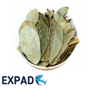 Natural soursop leaves from Vietnam, chemical free and non GMO, dried in whole leaf form, suitable for tea businesses - Product Image 1