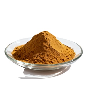 Poudre de Cissus Quadrangularis 100% Naturelle en Vrac OEM, Qualité Alimentaire Pure, Fournisseur de Poudre de Cissus Quadrangularis pour Produits Ayurvédiques - Product Image 1