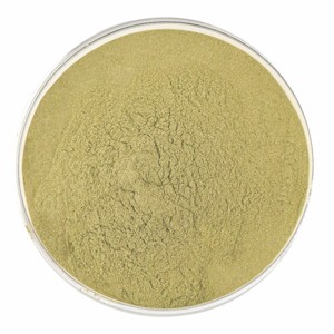 Polvo de Semillas de Calabaza Premium, Superalimento Natural Puro de Semillas de Calabaza, Rico en Proteínas, Fibra y Nutrientes para el Apoyo Diario del Bienestar - Product Image 1