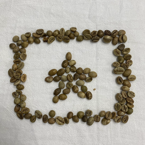 Vente en gros de grains de café Arabica torréfiés du Vietnam, 100% qualité supérieure pour café moulu quantité minimale de commande faible - Product Image 3