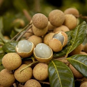 Longan Congelado IQF - Gran Venta, Sabor Dulce Natural - Product Image 1