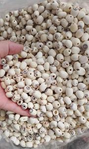 Graines de lotus séchées-Un ajout savoureux aux soupes, thés et desserts-BLUELOTUS - Product Image 2