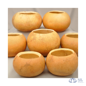 [AVAILABLE] Handcrafted Gourd Shell <b>Bowl</b> & Vessel Bohemian Design Eco-Friendly Tabletop Decor for Soup & Salad Blue Lotus Farm - Product Image 1