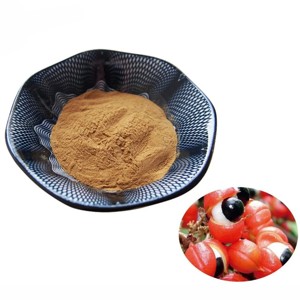 Extracto de Guaraná Natural OEM 10:1 en Polvo, Polvo de Semillas de Guaraná Molido Fino de Alta Calidad para Bebidas Energéticas y Suplementos Pre-Entrenamiento - Product Image 4