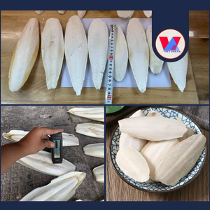 MEJOR VENDIDO: Hueso de Sepia Natural Seco sin Recortar, en Paquete de Cartón de 15 kg, para Aves y Loros, Juguete Masticable de Calcio para Pico, Venta a Granel - Product Image 3