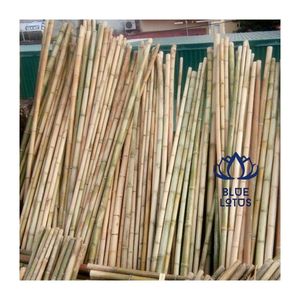 Très demandés 2026 Poteaux de bambou de qualité supérieure pour piquets agricoles et supports de construction Durables, flexibles, faciles à couper - Product Image 1