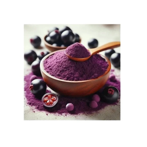 Poudre de Jamun lyophilisée SHUBHALAXMII FOOD INDUSTRY, goût sucré, saine, durée de conservation de 2 ans, emballage en vrac - Product Image 1