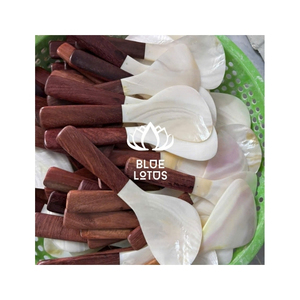 Cuchara de Nácar de Venta Rápida, Material Ecológico para Servir Postres y Remover Té, con Acabado Limpio y Superficie Lisa para B2B - Product Image 1
