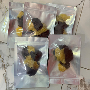 Ananas séché premium au chocolat du Vietnam – Délice naturel pour collations, desserts, événements, cadeaux et commerce de détail - Product Image 3