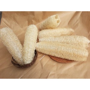 ฟองน้ำใยบวบออร์แกนิคแบบไร้ขยะ สำหรับขัดผิวอาบน้ำ เป็นมิตรต่อสิ่งแวดล้อม ดูแลผิวกาย - Product Image 3