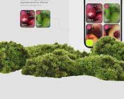 Aplicación de Agricultura Inteligente para Planificación de Cultivos, Actualizaciones Meteorológicas, Gestión de Inventario y Productividad Agrícola - Compatible con MAC/Linux - Product Image 2