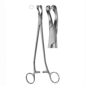 Pinces à biopsie Thoms Gaylor 240 mm - Pinces à dissection et à enucleation en acier inoxydable - Product Image 1