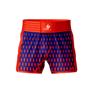 Pantalones Cortos de MMA para Hombre LUUK, Sublimados, de Secado Rápido, Poliéster, Corte Regular, para Artes Marciales Mixtas, Boxeo - Product Image 5