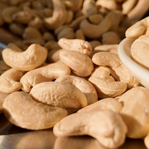 Nueces de cacho de tigre blancas frescas 100% orgánicas con certificación Halal W210 de Vietnam a precio competitivo para uso en la industria alimentaria saludable - Product Image 2