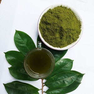 Hojas de Sousop Secas Premium, Ingrediente Herbal Entero en Bolsa con Cierre Hermético, Orgánico y Sin Azúcar para Cocinar y Estofar - Product Image 2