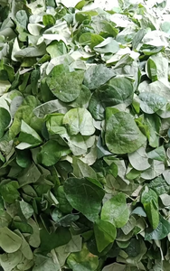 Feuilles de Yanang Congelées de Qualité Export, 100% Pures, Paquet de 1kg en Vrac pour Soupe Traditionnelle et Boissons Fraîches - Product Image 4