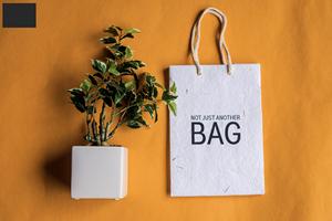 Sacs cadeaux en papier personnalisés imprimés à chaud pour mariage, faveurs artisanales, utilisation pour fêtes, finition mate, impression numérique, sacs pour vêtements - Product Image 2