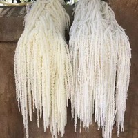 Bunga Gantung Amaranthus Kering Alami Grosir untuk Dekorasi Pernikahan & Hari Valentine