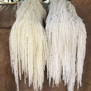 Fiori <span class=keywords><strong>di</strong></span> Amaranto Essiccati Naturali all'Ingrosso per Decorazioni Matrimoniali e <span class=keywords><strong>di</strong></span> <span class=keywords><strong>San</strong></span> <span class=keywords><strong>Valentino</strong></span> - Product Image 6