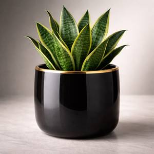 Maceta de Cerámica Acanalada y Esmaltada con Diseño Profundo, Construcción Duradera, Elegante Decoración para Plantas de Interior - Product Image 5