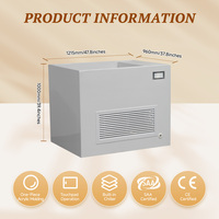 Bain froid carré en acrylique non poreux, résistant aux bactéries, avec refroidisseur 1HP, WiFi intelligent, ozone, CE, 110V-240V, DDP