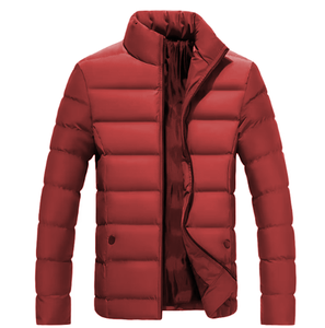 Zipper Front Stand 100% Nylon Puffer <b>Jacket</b> Men Stylish Thick Padded Winter Outerwear Trendy Casual <b>Warm</b> Lightweight Travel Coat - Product Image 1