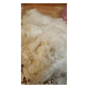 Lana de oveja natural sin procesar, limpia y lavada para la fabricación de hilos y la producción de mantas. - Product Image 6