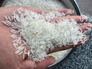 ข้าวหอมมะลิแท้ ST25 คุณภาพพรีเมียม เมล็ดยาว หอม กลิ่นหอม ไม่ใช่พืช GMO ผลิตในเวียดนาม ราคาดีที่สุด รับสั่งซื้อจำนวนมาก มาตรฐาน HACCP ISO - Product Image 6