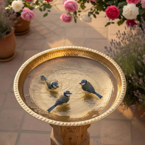 อ่างอาบน้ำนกเหล็กตกแต่งสวน รูปทรงสัตว์ทันสมัย ผิวเคลือบโลหะ ติดตั้งง่าย ทำความสะอาดง่าย แบบตั้งพื้น ลดราคาพิเศษ - Product Image 1