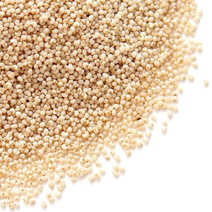 เมล็ดป๊อปปี้สดขายส่งจำนวนมาก คุณภาพพรีเมียม สต็อกจากแอฟริกาใต้ อายุการเก็บรักษายาวนาน ปริมาณมาก รับออเดอร์ B2B ส่งออกทั่วโลก - Product Image 5