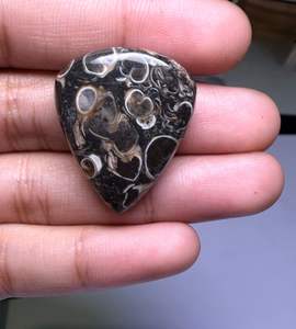 Lote al por mayor de cabujones de ágata TURRITELLA por peso con diferentes formas y tamaños utilizados para la fabricación de joyas, piedra TURRITELLA - Product Image 2