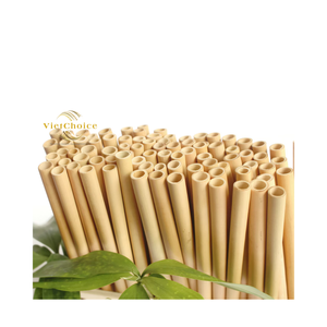 Vietchoice Pajita de Bambú Reutilizable y Biodegradable, Ecológica, Lavable, Libre de BPA, Duradera, 200 mm de Longitud, Logotipo Grabado con Láser, Phoebe - Product Image 6