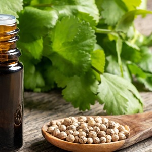 Chất lượng cao hữu cơ rau mùi nhà máy chiết xuất sáp siêu quan trọng chất lỏng chiết xuất cấp thực phẩm vitamin bổ sung có thể đóng gói - Product Image 4