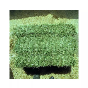 Oferta de Heno de Alfalfa al por Mayor, Alimento Premium - Product Image 3