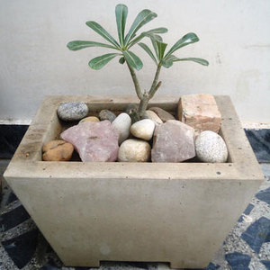 Urne de jardin en pierre rustique traditionnelle avec motif floral et décoration boussole de jardin pour l'aménagement extérieur - Product Image 2