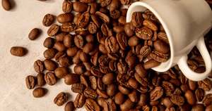 Café Robusta torréfié et moulu en gros, spécialité, matière étrangère 0,1%, qualité supérieure, certifié USDA et ISO 22000 - Product Image 1