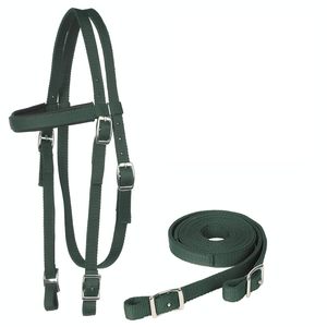 Cabezada de nailon verde para caballo con riendas y diseño de doble capa - Product Image 1