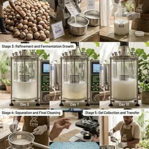 Aceite de Coco Virgen [ORIGINAL VCO] en Botella de 250 ml - Aceite de Coco VCO Puro Natural Sin Refinar de Alta Calidad, Grado Alimenticio, 100% Puro - Product Image 2